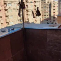 دوخواب سالن بزرگ لوکس|اجارهٔ آپارتمان|صدرا-فارس, فاز ۱|دیوار