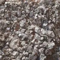 کود زله مرغ گوشتی