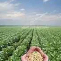 زمین-ملکی-کشاورزی