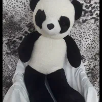 پاندا