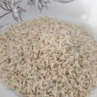 برنج هاشمی درجه یک یکیار بخری مشتری میشی|خوردنی و آشامیدنی|مشهد, شهرک رازی (شهرک غرب)|دیوار