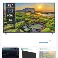 تلویزیون اسنوا