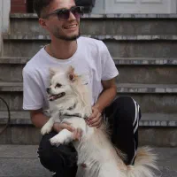 سگ پامرانین|سگ|مشهد, کارمندان دوم|دیوار