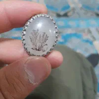 انگشتر نقره نگین شجر|جواهرات|اردبیل, |دیوار