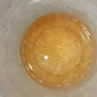 سیست آرتمیا خشک فرانسیسکانا دکپسوله بیومار فرانسه