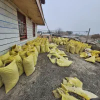 کود زیل فضله کبوتر صحرایی میخرمم سوله شیروانی.