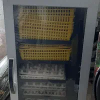 دستگاه جوجه کشی ققنوس و اسکندری|لوازم جانبی حیوانات|مشهد, ابوذر|دیوار