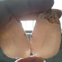 سنگ راف عقیق صورتی رنگ نیمه شفاف