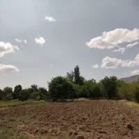 زمین کشاورزی مرغوب|فروش زمین و ملک کلنگی|سلفچگان, |دیوار