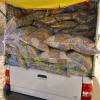 بالشت|رختخواب، بالش، پتو|لنجان, |دیوار