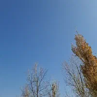 زمین مناسب سوله و ویلا در بهترین لوکیشن