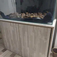 فروش آکواریوم|ماهی|شیراز, تاچارا|دیوار