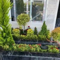 خدمات باغبانی گل کاری باغچه کاری تعویض خاک گلدان