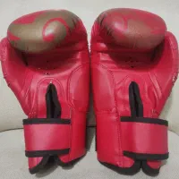 یک جفت دستکش بوکس|تجهیزات ورزشی|ری, شهرری|دیوار