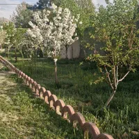 ۱۰۰۰ متر کردان معاوضه با آپارتمان یا ماشین|فروش آپارتمان|کوهسار (البرز), |دیوار