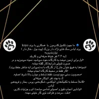آگهی استخدام