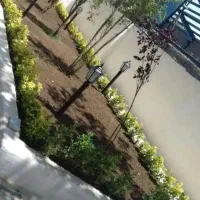 خدمات کلیه باغبانی باغچه کاری گلکاری هرس کاری|خدمات باغبانی و درختکاری|اسلامشهر, مظفریه|دیوار