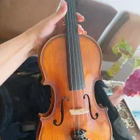 ویلون در حد نو برند بیداد ۱/۲