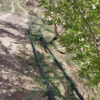 باغی ویلایی ۹۰۰ متری بفروش میرسد