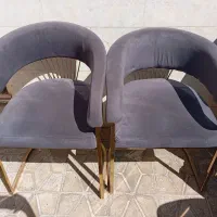 لوازم سالن زیبایی|آرایشگاه و سالنهای زیبایی|دورود, |دیوار