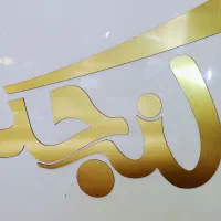 ساندویچ زن و فر کار ماهر