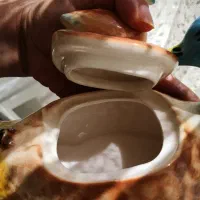 شکلاتخوری قدیمی عتیقه دکور خاص کافی شاپ|ظروف سرو و پذیرایی|تهران, دریاچه شهدای خلیج فارس|دیوار