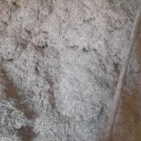 کاه ویونجه