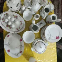 سرویس گل سرخ