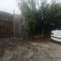 باغچه-چهار-دیوار-سند-تک-برگ