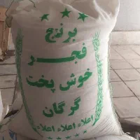 برنج فجر گرگان