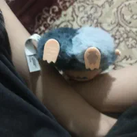 لبوبو|اسباببازی|یاسوج, |دیوار