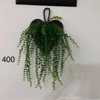 تعدادی گل و گلدان و استند گل شیک و سالم