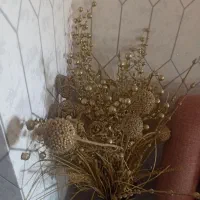 گل های تزیینی