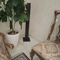 دوعدد باند سالم سونی