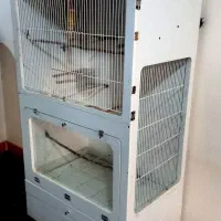 قفس پرنده شیک و خاص