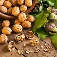 خریدار گردو خشک سفید