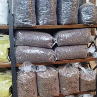 ماسالا / چای کرک / کاپوچینو /  هات چاکلت پخش عمده