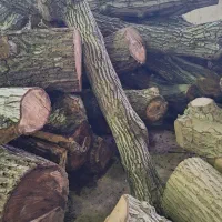 فروش ضایعات چوب گردو تیکه و پوشال