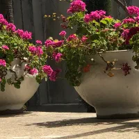 ۳۶۵ منر باغ زمین  با ۱۰ متر بر اصلی کمربندی