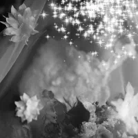 تور عروس شکوفه بلند