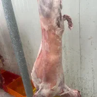 قصاب
