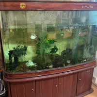 آکواریوم کمدی حرفه ای با تجهیزات کامل