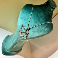 بدلیجات و اکسسوری پینترستی