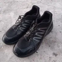 کفش سالامون|کیف، کفش، کمربند|بابل, |دیوار