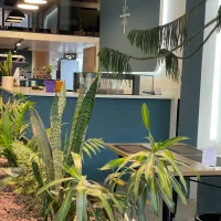 واگذاری سهم کافه