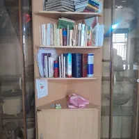 گنجه و کتابخانه سالم و تمیز