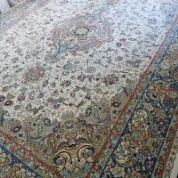 جفت ۱۲متری ۱۲۰۰شانه مشهد کرم|فرش|مشهد, حجت|دیوار