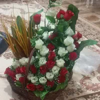 گل مصنوعی|گل مصنوعی|کرج, حصارک بالا|دیوار