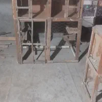 گنجه و جفتکن کفتر