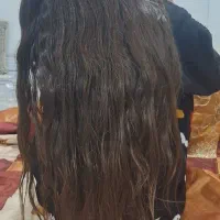 فروش دو عدد مو